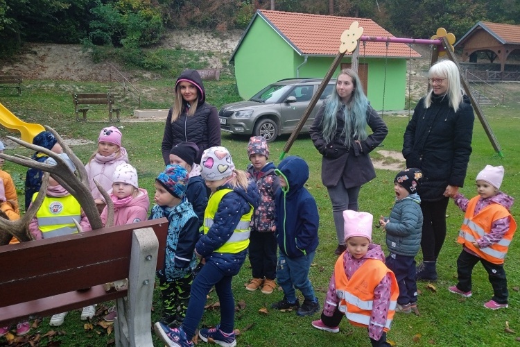 Projektový den - Zvířátka a stromy v lese