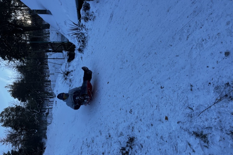 Když napadne sníh...