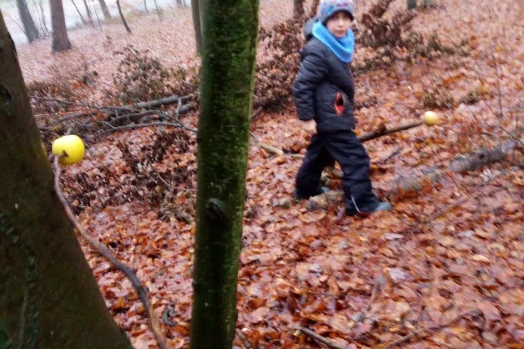 Vánoce pro zvířátka v lese, kino 