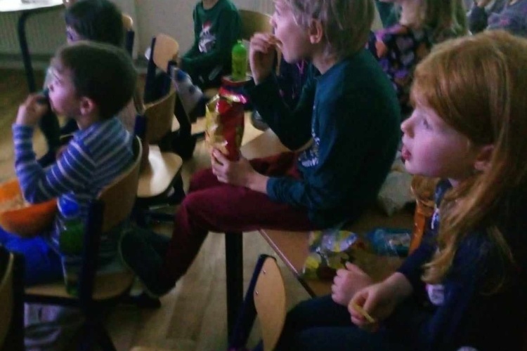 Vánoce pro zvířátka v lese, kino 