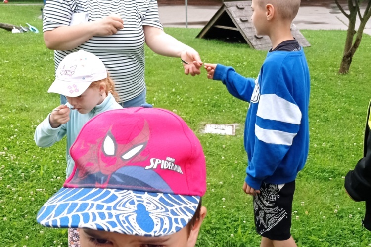 Den pro včely
