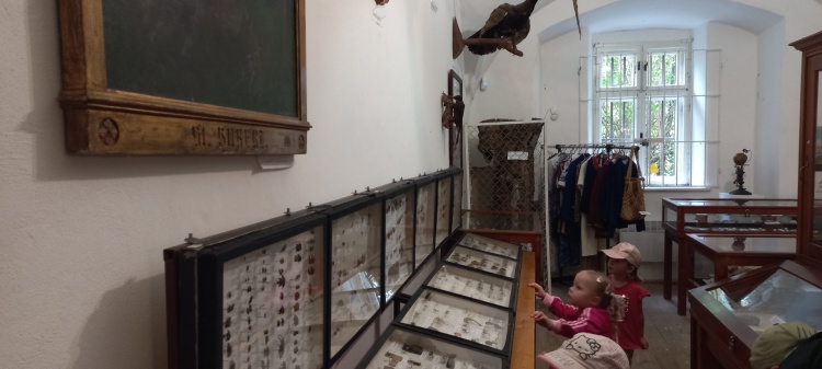 Výlet 20. 6,  2024 - Muzeum ve Ždánicích