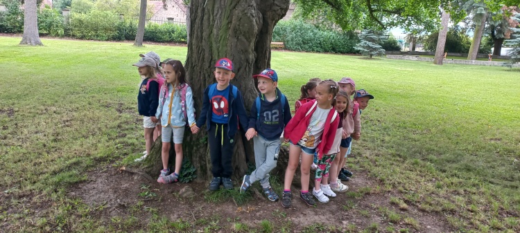 Výlet 20. 6.  2024 - Zámecký park ve Ždánicích