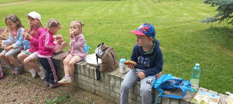 Výlet 20. 6.  2024 - Zámecký park ve Ždánicích