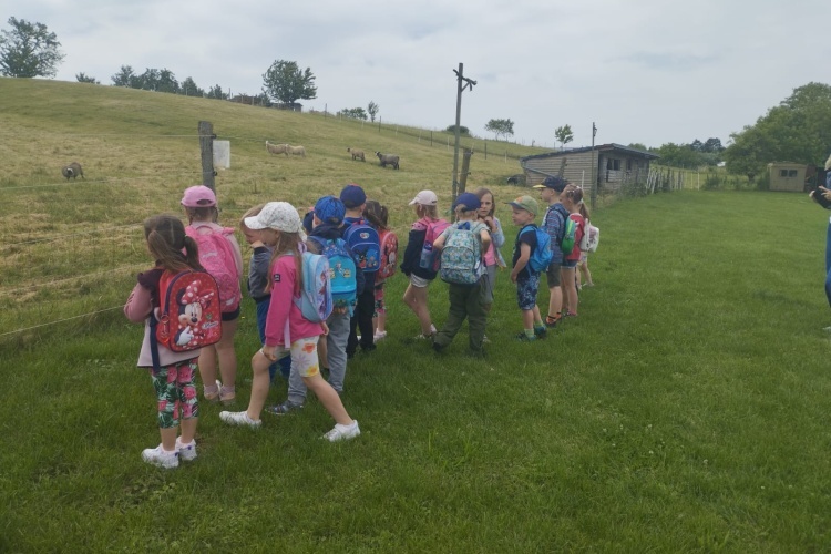 Výlet 20. 6.  2024 - Panský rybník ve Ždánicích