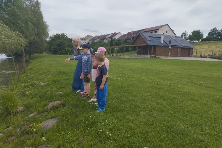 Výlet 20. 6.  2024 - Panský rybník ve Ždánicích