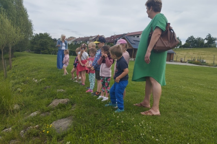 Výlet 20. 6.  2024 - Panský rybník ve Ždánicích