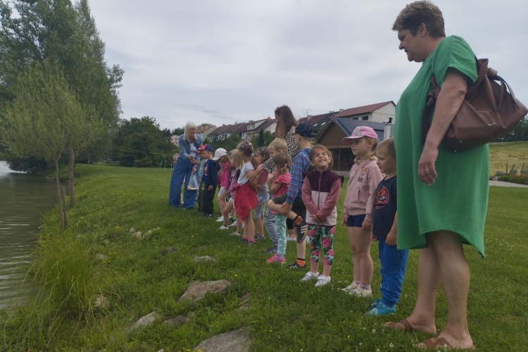 Výlet 20. 6.  2024 - Panský rybník ve Ždánicích
