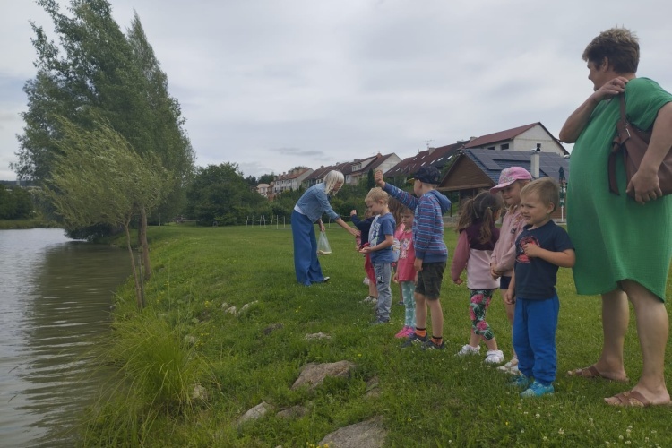 Výlet 20. 6.  2024 - Panský rybník ve Ždánicích
