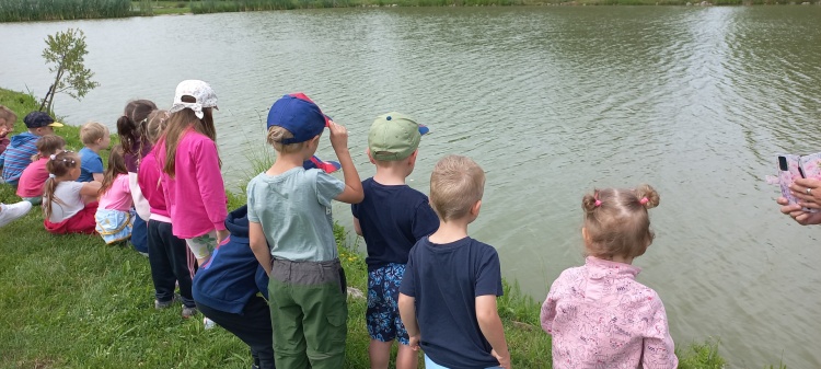 Výlet 20. 6.  2024 - Panský rybník ve Ždánicích