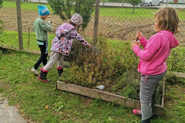  Projektový den na školní zahradě pod vedením Marie Chropenové 
