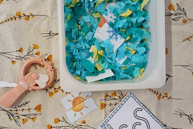 Smyslohraní v lednu