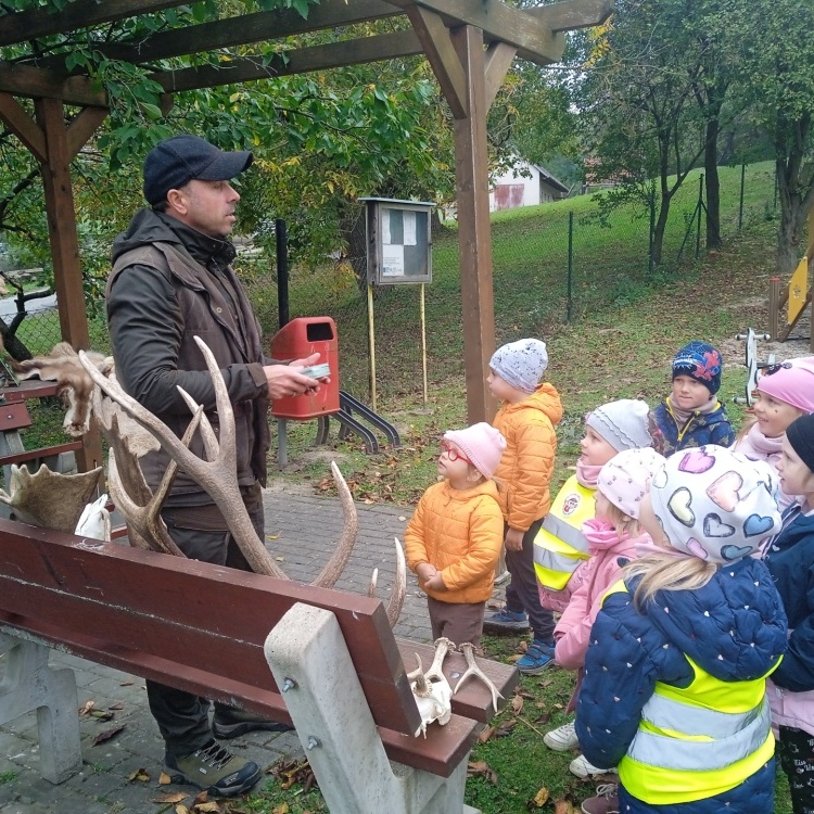 Projektový den - Zvířátka a stromy v lese