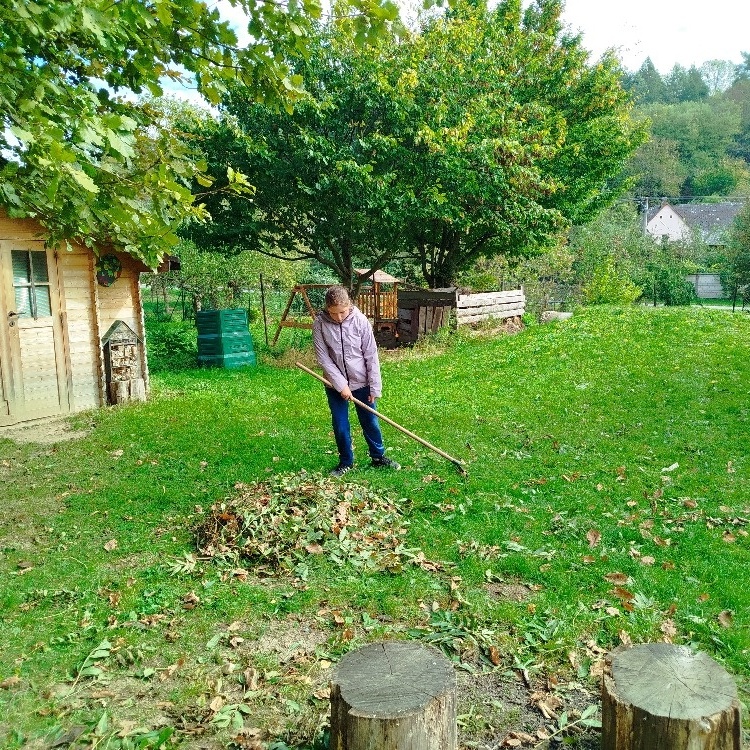 Začala sezóna padajícího listí